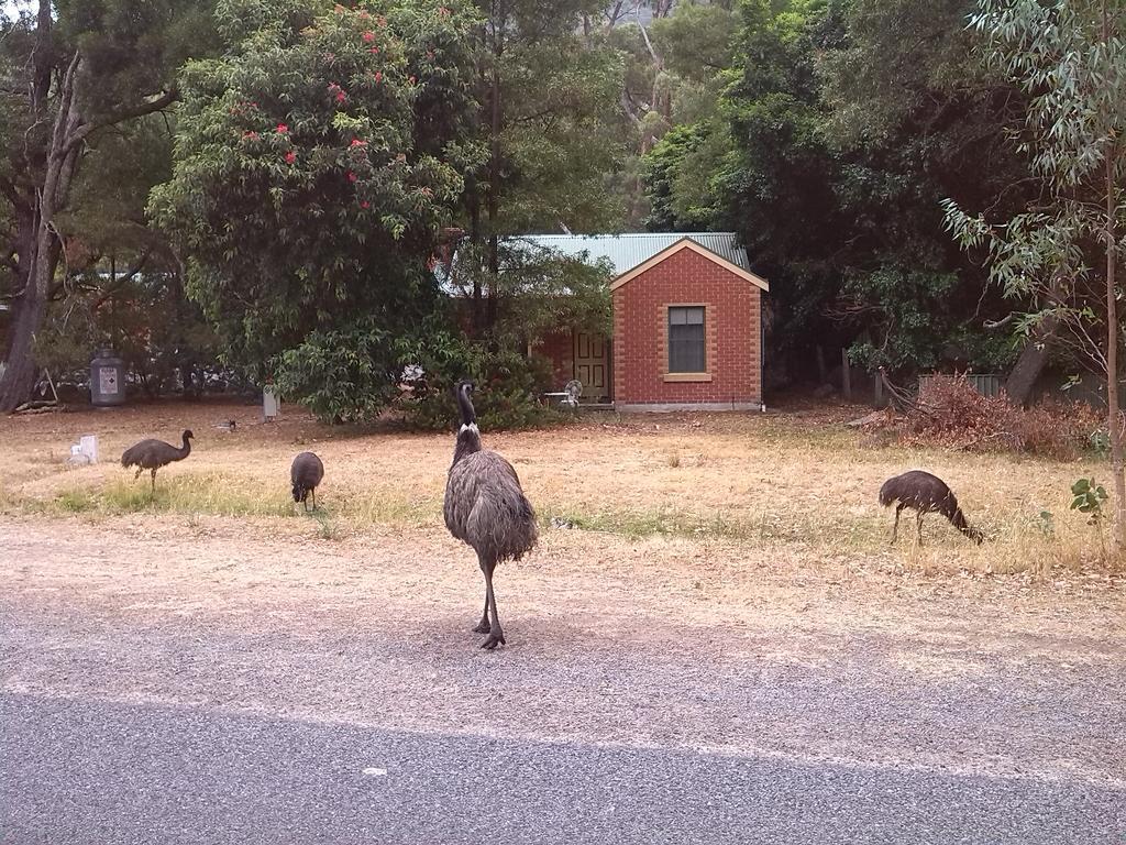 Heatherlie Cottages Halls Gap Exteriör bild